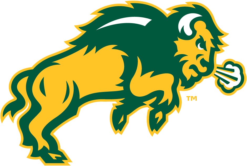 North Dakota State Bison 2012-Pres Secondary Logo iron on transfers for clothing